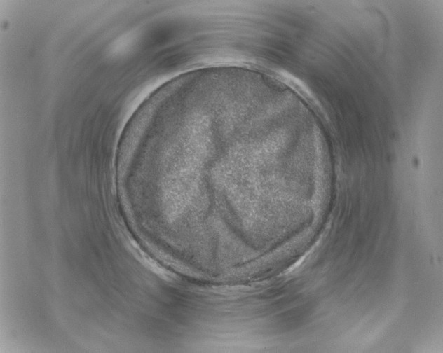 X0000073751236200608311927