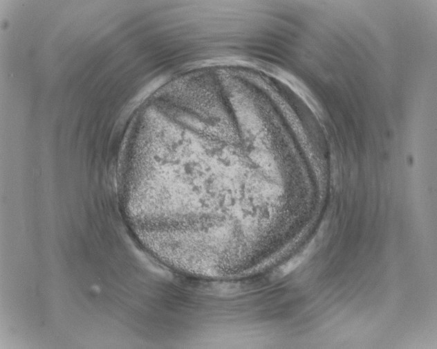 X0000073751241200608311927