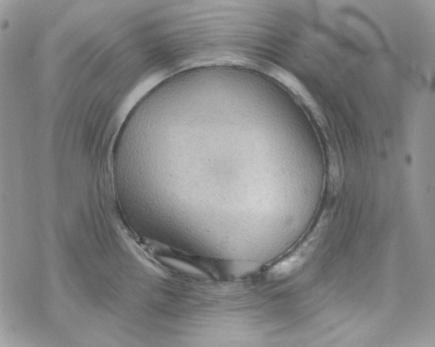 X0000073751242200608311927