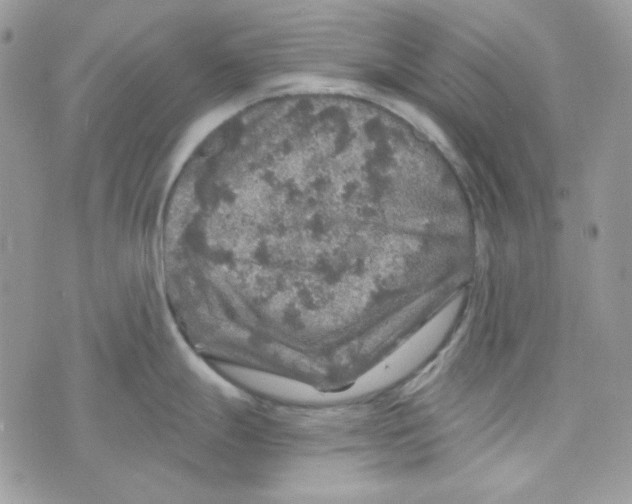 X0000073751247200608311927