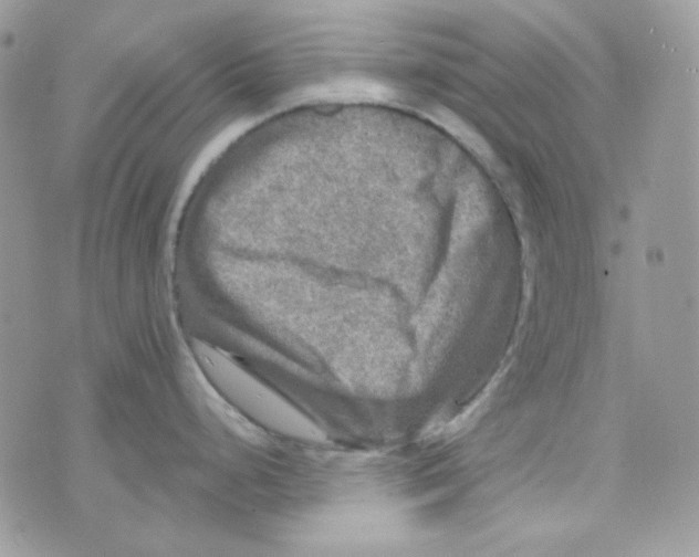 X0000073751248200608311927