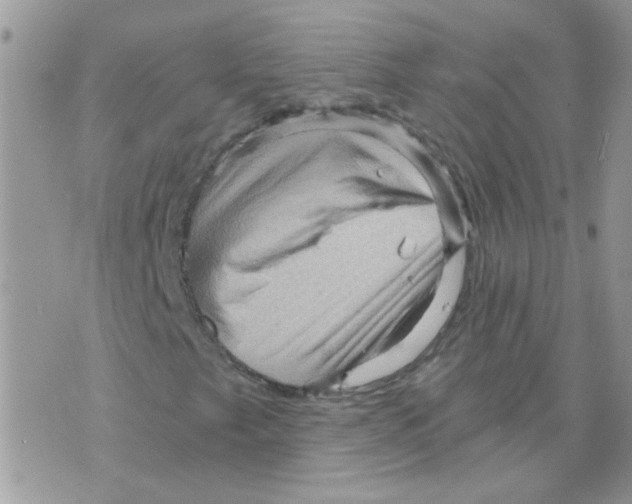 X0000073751249200608311926