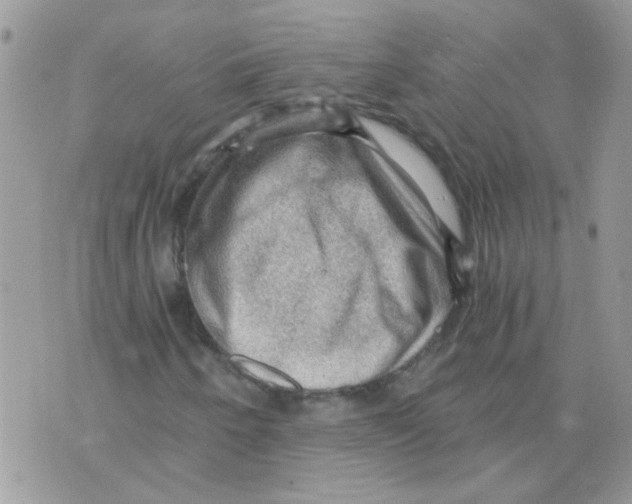 X0000073751250200608311926