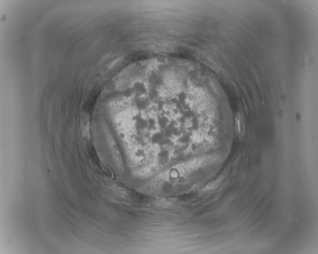 X0000073751251200608311926