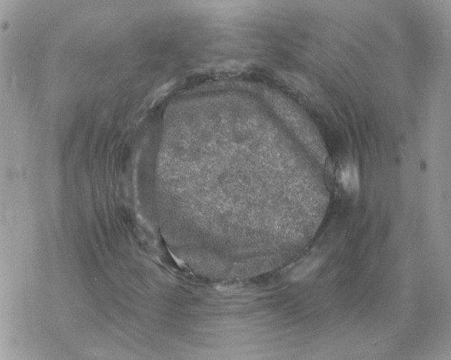 X0000073751252200608311926