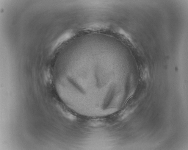 X0000073751253200608311926