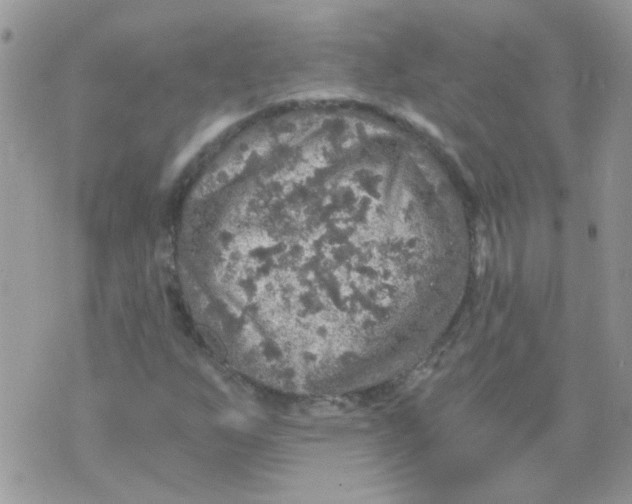 X0000073751255200608311926