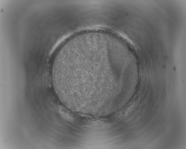 X0000073751256200608311926