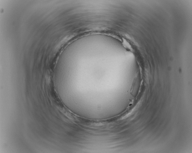 X0000073751257200608311926