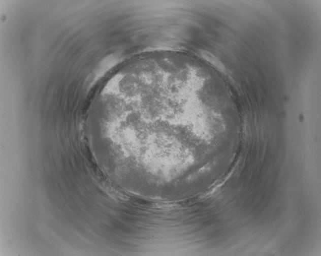 X0000073751258200608311926