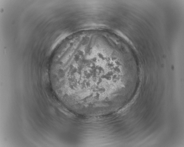 X0000073751259200608311926