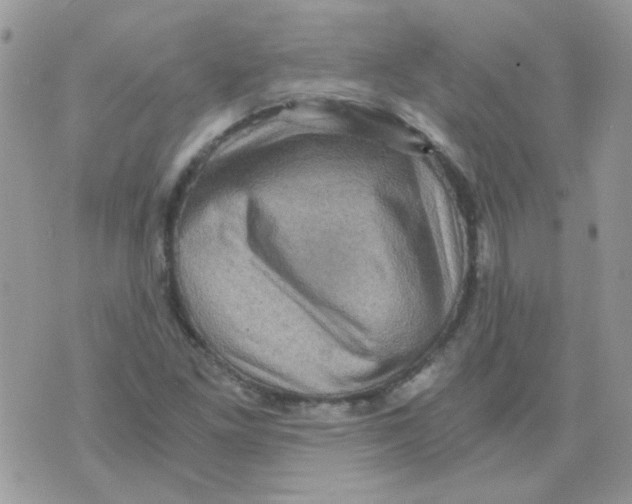 X0000073751261200608311926