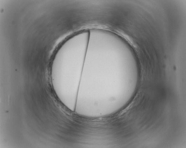 X0000073751264200608311926