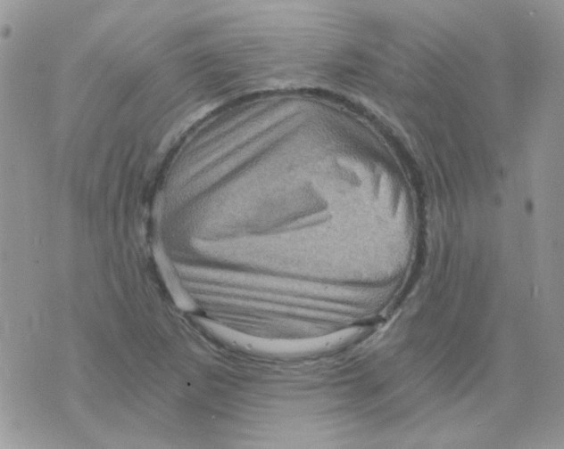 X0000073751265200608311926