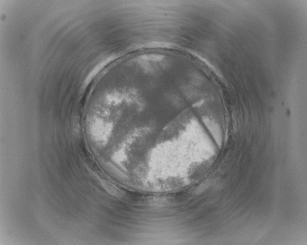 X0000073751266200608311926