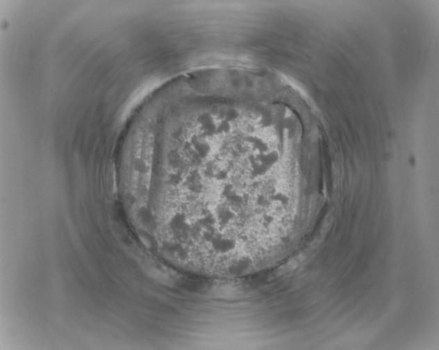 X0000073751267200608311926