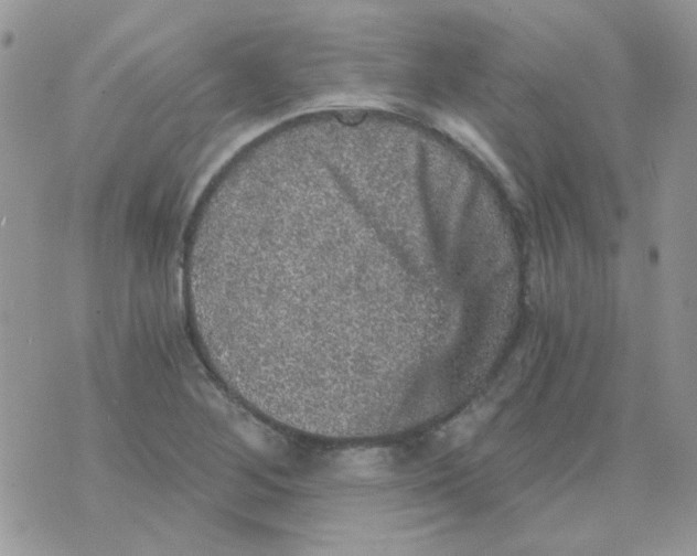 X0000073751268200608311926