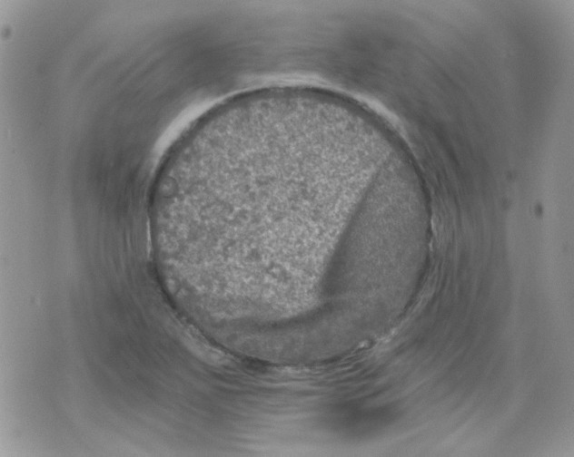 X0000073751271200608311926