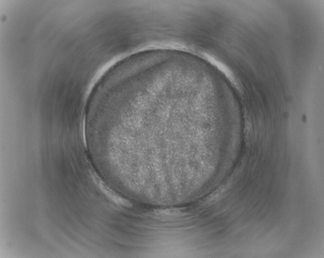 X0000073751272200608311926