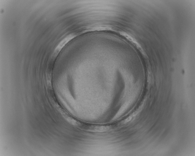 X0000073751273200608311926