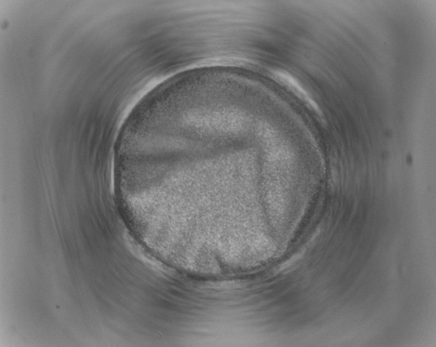 X0000073751276200608311926