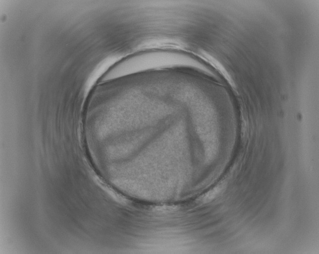 X0000073751277200608311926