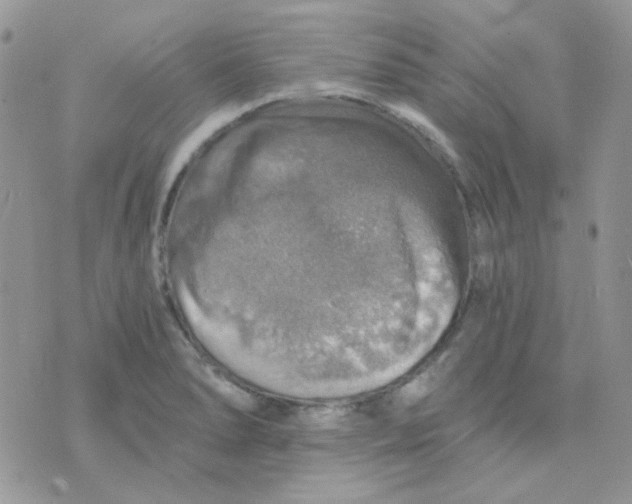 X0000073751278200608311926