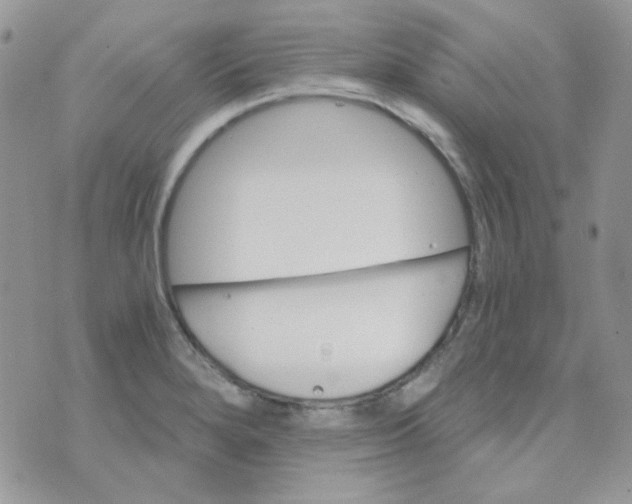 X0000073751280200608311926