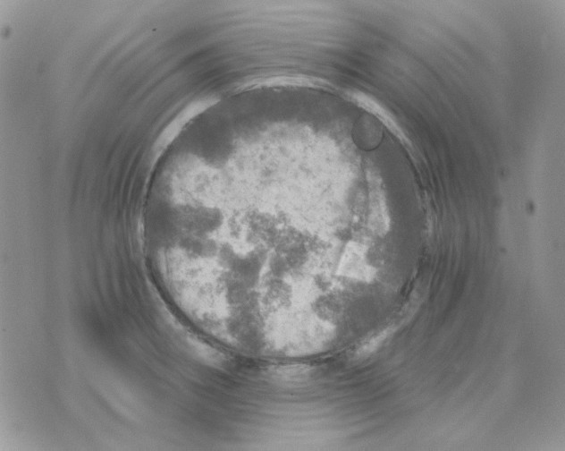 X0000073751282200608311926