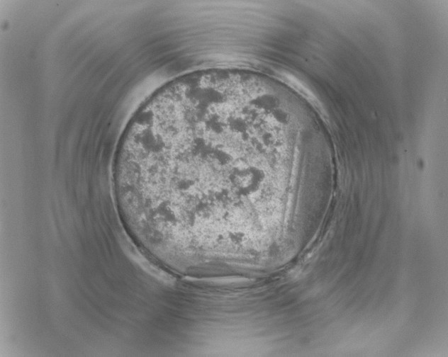 X0000073751283200608311926