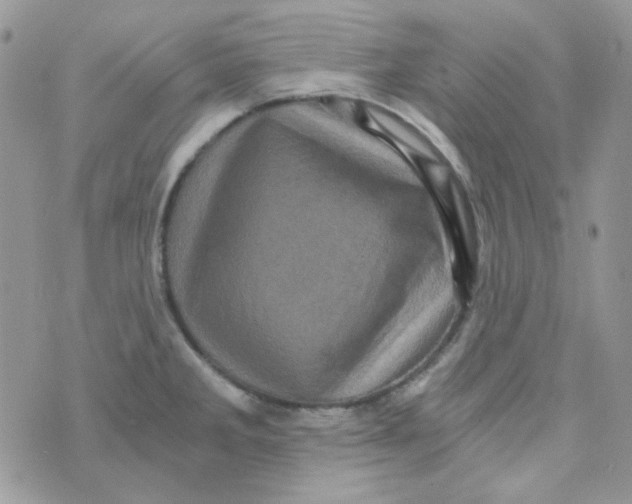 X0000073751285200608311926