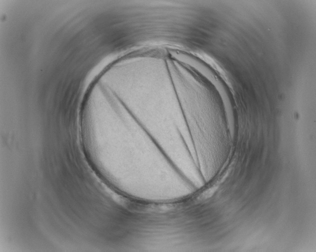 X0000073751286200608311926