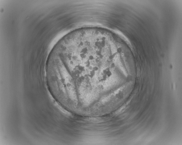 X0000073751287200608311926