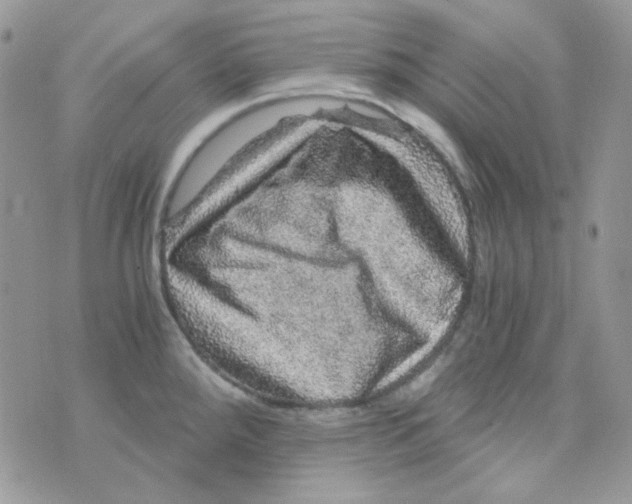 X0000073751288200608311926