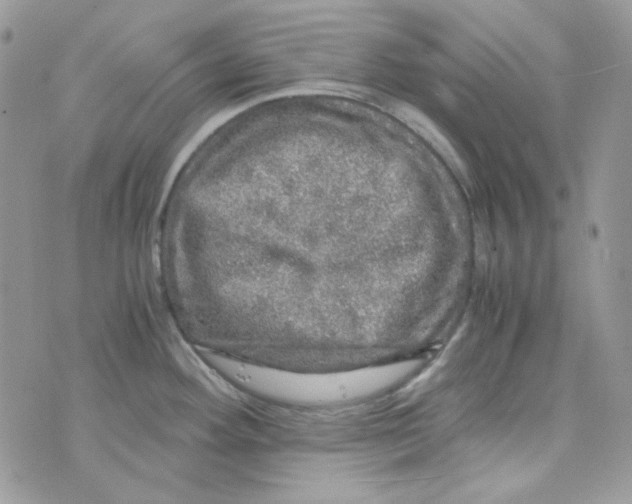 X0000073751292200608311926