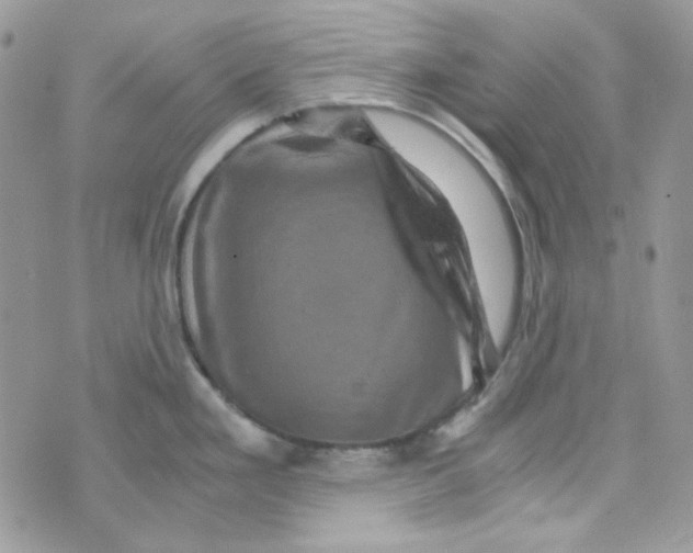 X0000073751293200608311926