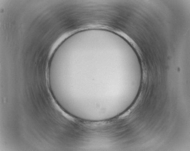 X0000073751294200608311926