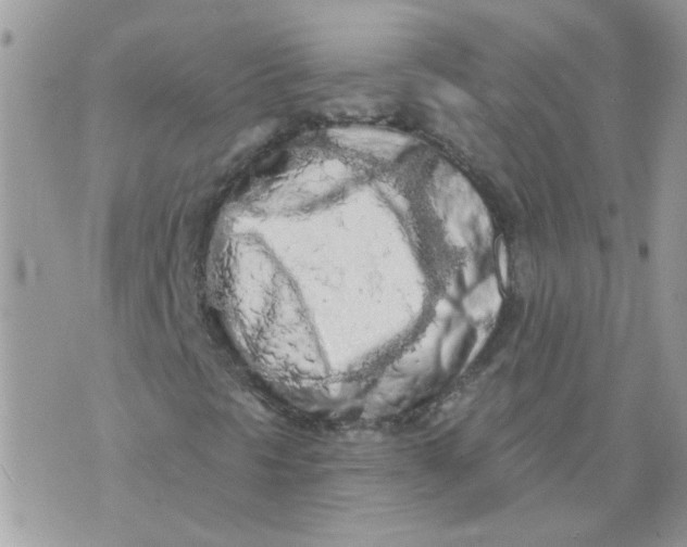 X0000073751297200608311925