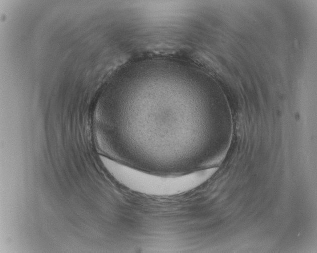 X0000073751298200608311925