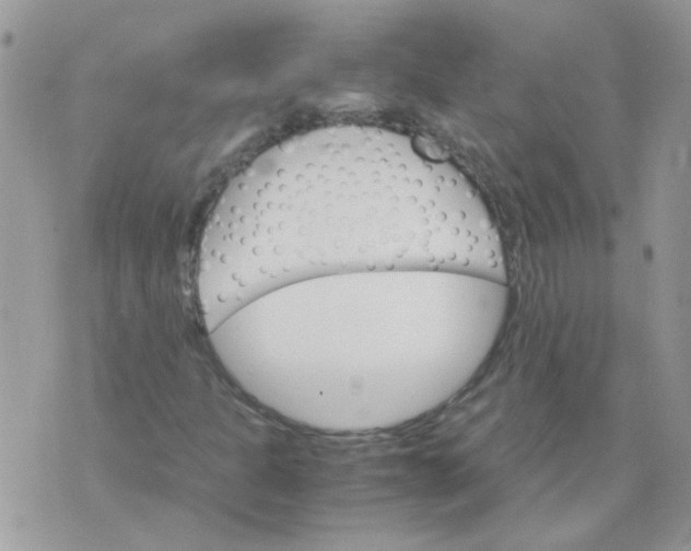 X0000073751301200608311925