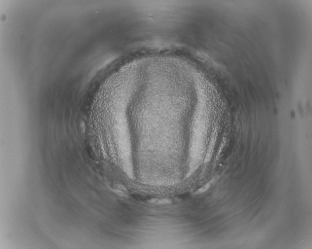 X0000073751302200608311925