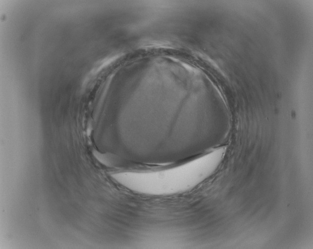 X0000073751303200608311925