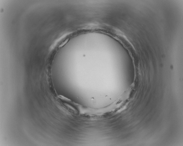 X0000073751304200608311925