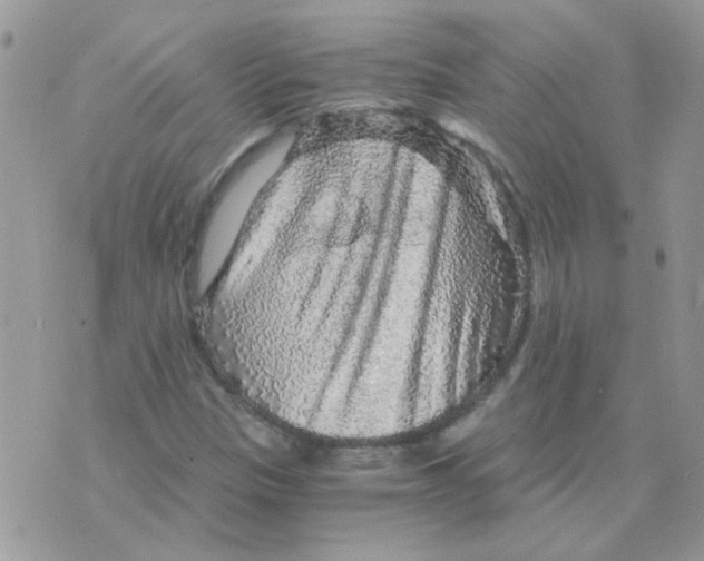 X0000073751305200608311925