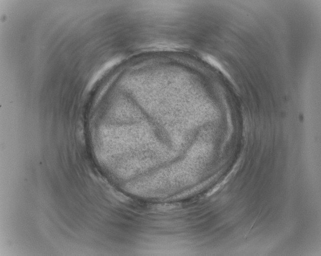 X0000073751307200608311925