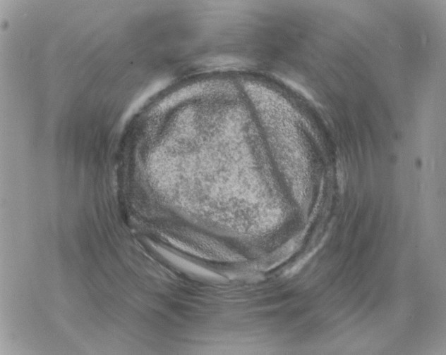 X0000073751309200608311925