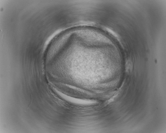 X0000073751310200608311925