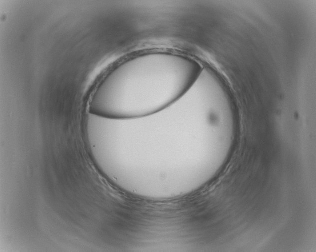 X0000073751312200608311925