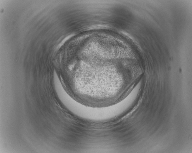 X0000073751313200608311925