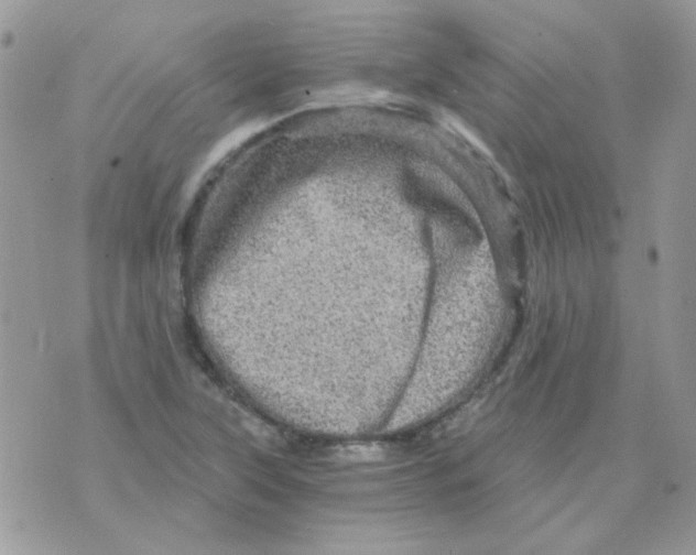 X0000073751315200608311925